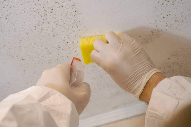 Best Residential Mold Inspection & Testing  in Harsville, RI